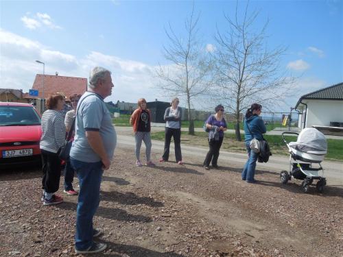 Ukázka ořezu stromů